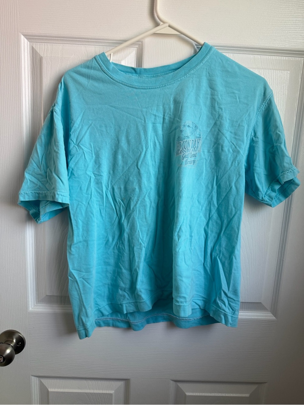 Comfort Colors Short-Sleeve Tee in Aqua Blue
